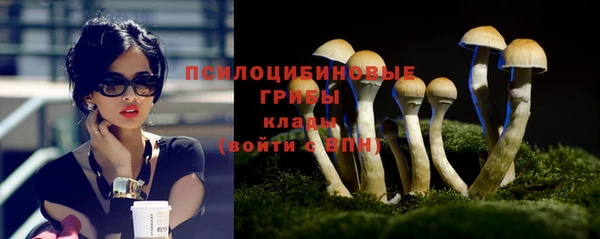 каннабис Каменногорск