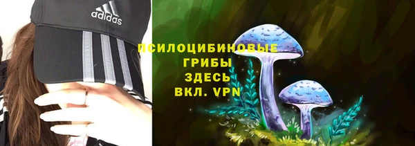 мяу мяу мука Каменка