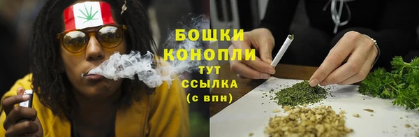 PSILOCYBIN Каменск-Шахтинский