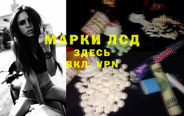 мяу мяу мука Каменка