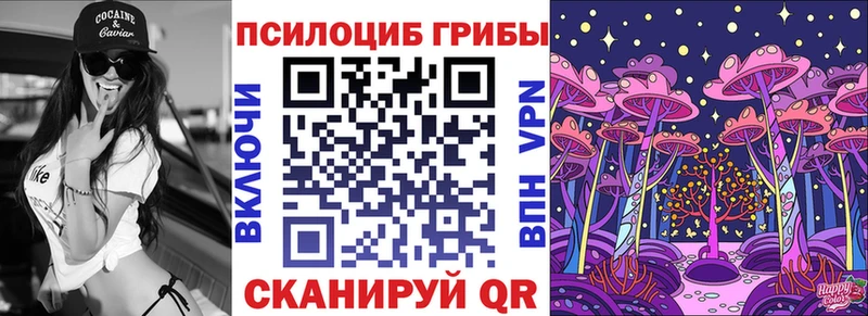 Купить закладки  Богородицк  Псилоцибиновые грибы ЛСД 